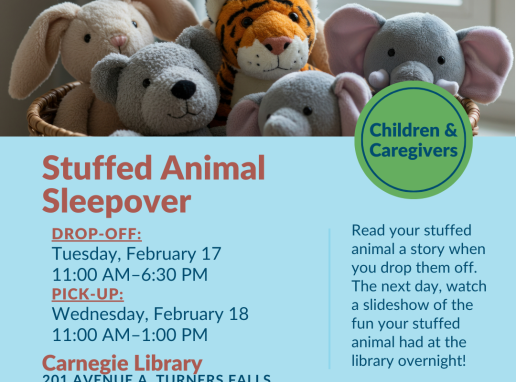 Stuffed Animal Sleepover Graphic