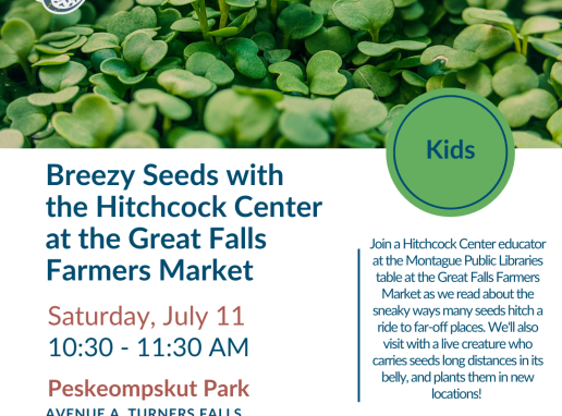 Breezy Seeds with the Hitchcock Center at the Great Falls Farmers Market Graphic
