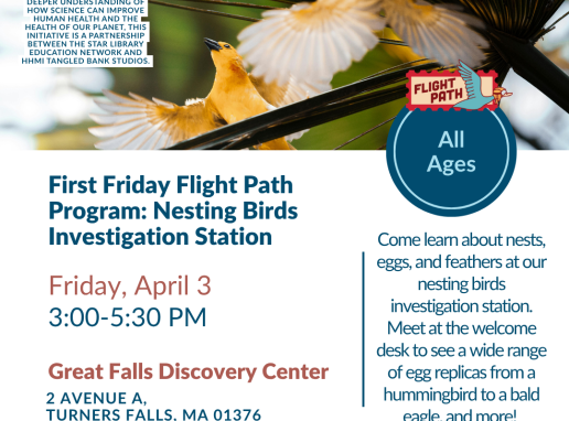 First Friday Flight Path Program: Nesting Birds Investigation Station Graphic