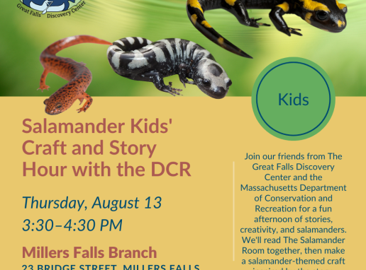 Salamander Kids' Craft and Story Hour with the DCR Graphic