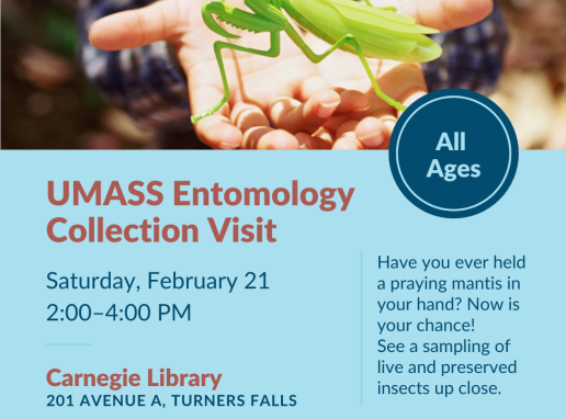 UMASS Entomology Collection Graphic